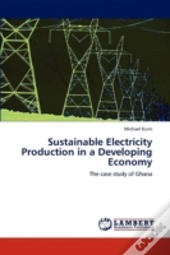 Sustainable Electricity Production In A Developing Economy