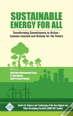 Capa do artigo Sustainable Energy For All :Transforming Commitments To Action Lessons Learned And Actions For The Future