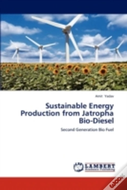 Capa do artigo Sustainable Energy Production From Jatropha Bio-Diesel