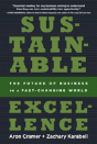 Sustainable Excellence - Preview