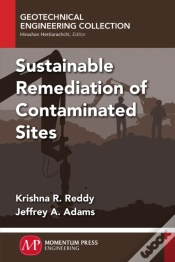 Capa do artigo Sustainable Remediation Contaminated