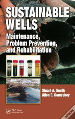 Capa do artigo Sustainable Wells