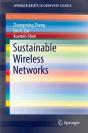 Sustainable Wireless Networks - Preview