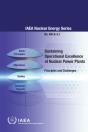 Sustaining Operational Excellence At Nuclear Power Plants - Preview