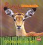 Swala La Petite Impala - Preview