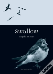 Swallow