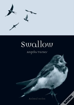 Capa do artigo Swallow