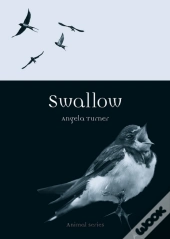 Swallow