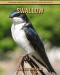 Swallow - Preview