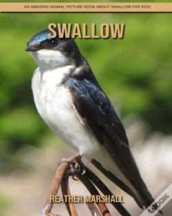 Capa do artigo Swallow