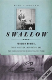 Capa do artigo Swallow
