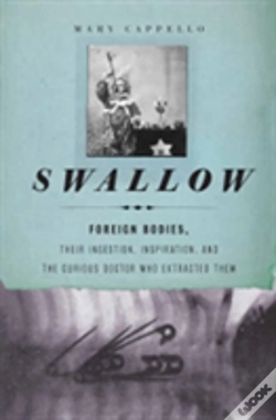 Capa do artigo Swallow