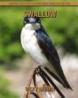 Swallow - Preview