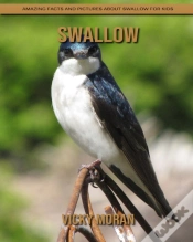 Capa do artigo Swallow