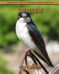 Capa do artigo Swallow
