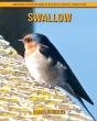 Swallow - Preview