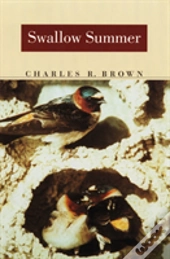 Swallow Summer