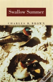 Capa do artigo Swallow Summer