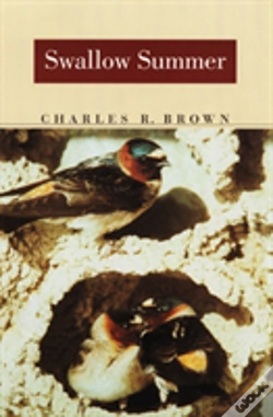 Capa do artigo Swallow Summer