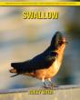 Swallow - Preview