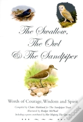 Swallow, The Owl And The Sandpiper