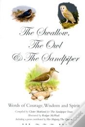 Capa do artigo Swallow, The Owl And The Sandpiper