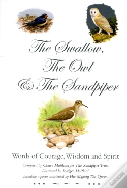 Capa do artigo Swallow, The Owl And The Sandpiper