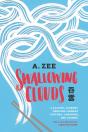 Swallowing Clouds - Preview