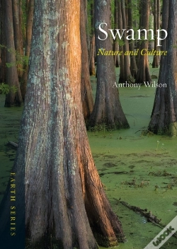 Capa do artigo Swamp