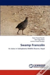 Swamp Francolin