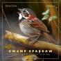 Swamp Sparrow And Limpid Brook Spring - Preview