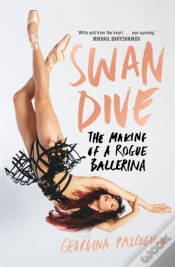 Capa do artigo Swan Dive
