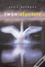 Capa do artigo Swan Electric