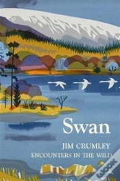 Capa do artigo Swan