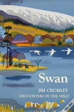 Capa do artigo Swan