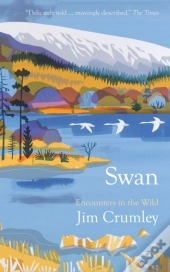 Swan