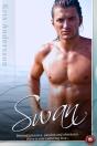 Swan - Preview