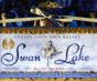 "Swan Lake" - Preview