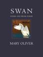 Swan - Preview