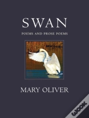 Capa do artigo Swan