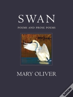 Capa do artigo Swan