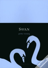 Swan