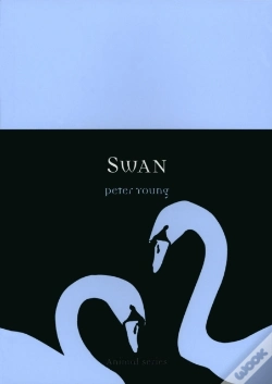 Capa do artigo Swan