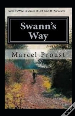 Capa do artigo Swann'S Way