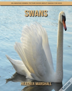 Capa do artigo Swans