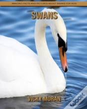 Capa do artigo Swans
