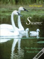 Swans