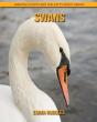 Swans - Preview