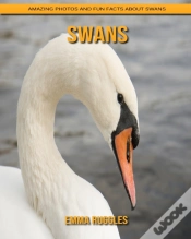 Capa do artigo Swans