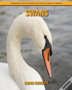 Capa do artigo Swans